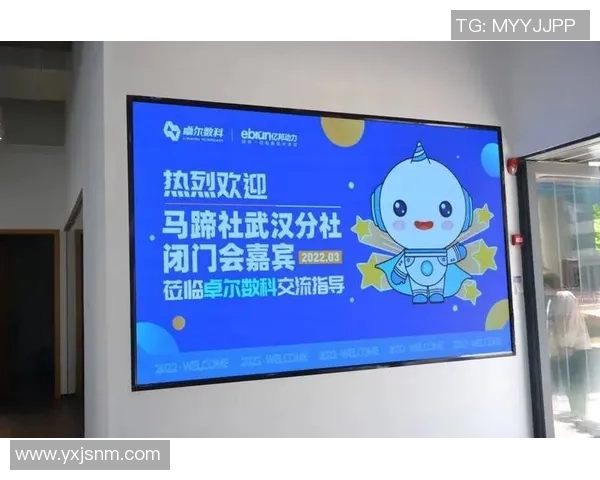 武汉排球队运营模式解析与发展策略探讨助力排球运动普及